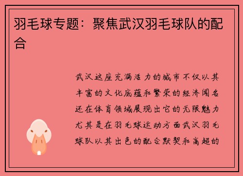 羽毛球专题：聚焦武汉羽毛球队的配合